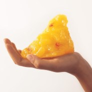 1lb_fat