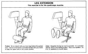 EM-leg-extension