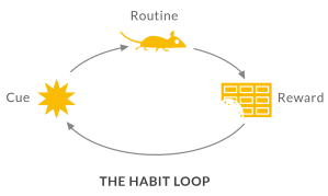 5 habit loop