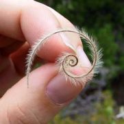 17d08b33402ed6507a49b9087c0048d3