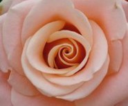 259e9eb4c5d0c1997f680397c31af313