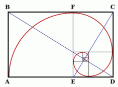 espiral_durero_vertices
