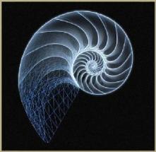 NautilusShell