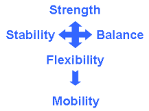 Strength-Balance-Yields-Mobility.01