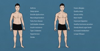 the-ideal-male-body-weight-chart-chubby-vs-muscle
