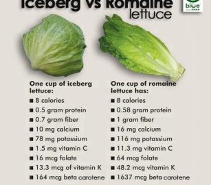 iceberg-romaine-454x400