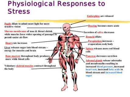stress-causes-effects-and-management-by-dr-ali-garatli-5-638.jpg