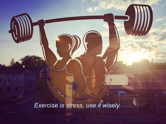 39676148_1845794818874444_2378128369662296064_n (4) copy