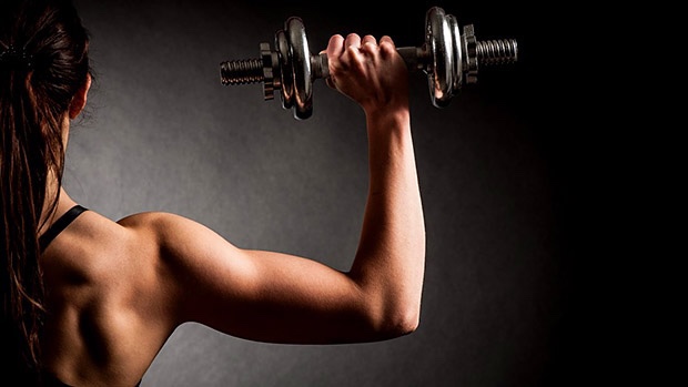 human-body-muscle-diagram